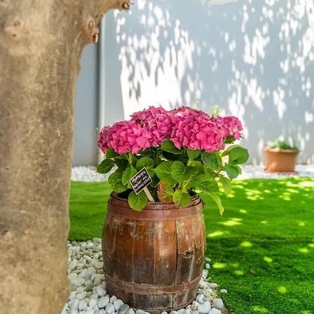 Ena Villa *